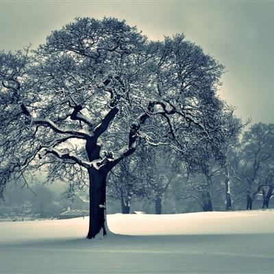 pg电子·模拟器(试玩游戏)手机app下载
