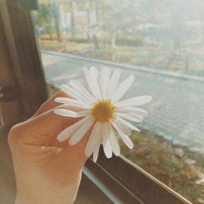 万博ManBetX手机版登录官网