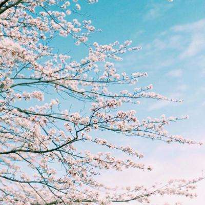 pg娱乐电子游戏app下载